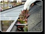 Keeping Your Gutters and Downspouts Clear This Spring Post Thumbnail