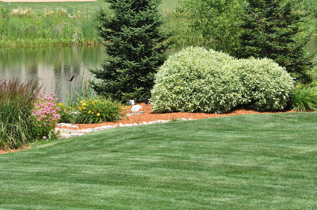 Ten Warning Signs That Your Yard Has Inadequate Irrigation Post Thumbnail