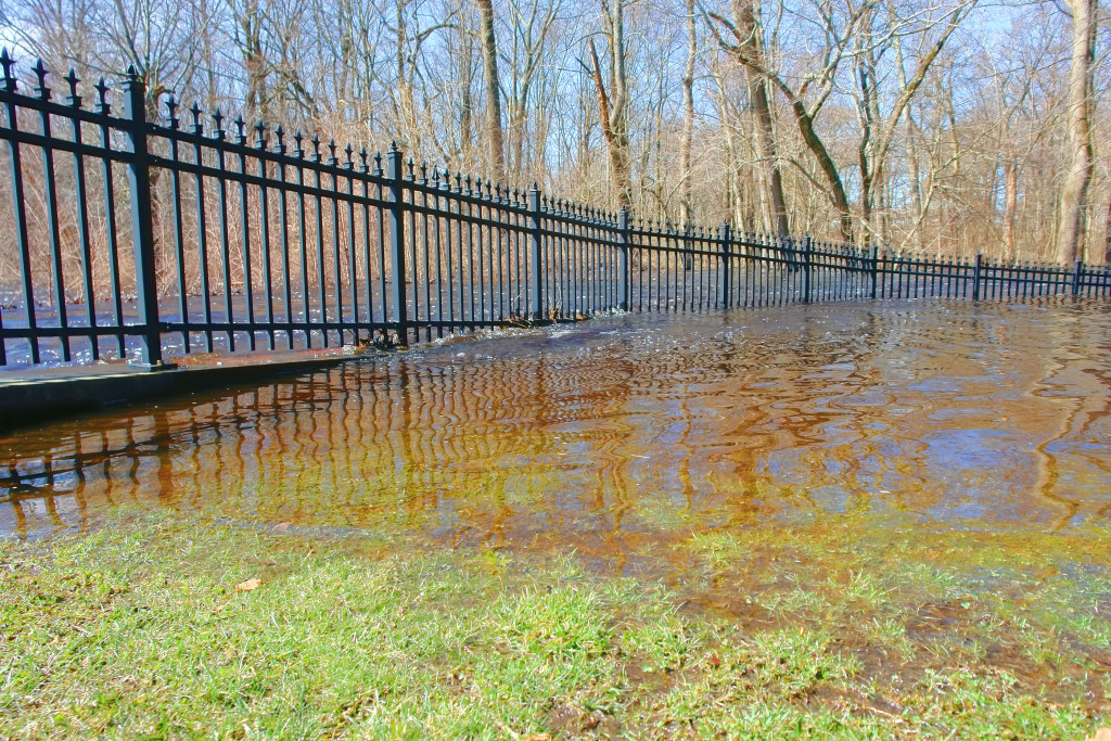 Five Potential Causes Of Standing Water In Your Yard   Bigstock Flooded Park And River 7921750 1024x683 