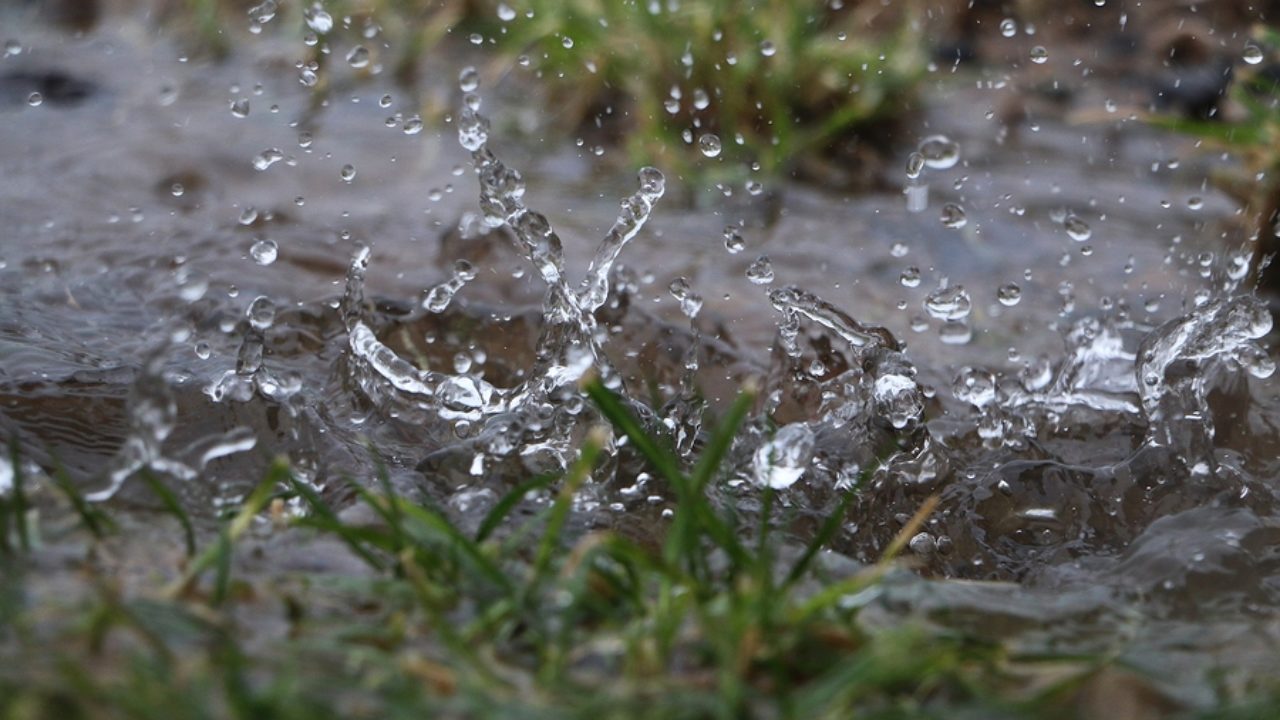 Stop Water Pooling In Your Yard For Good