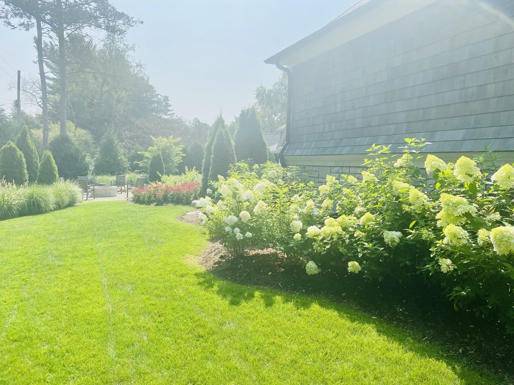 Well manicured lawn with carefully designed landscape with ornamental trees and shrubs.