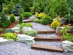 Beautiful designer garden with healthy, green trees and plants and stones.